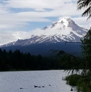 Meet your Posher, Robin